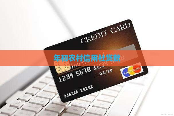 年初农村信用社贷款
