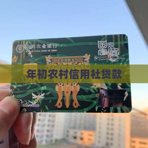 年初农村信用社贷款