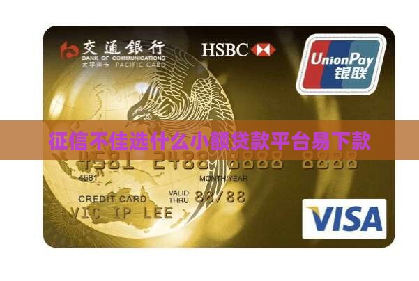征信不佳选什么小额贷款平台易下款