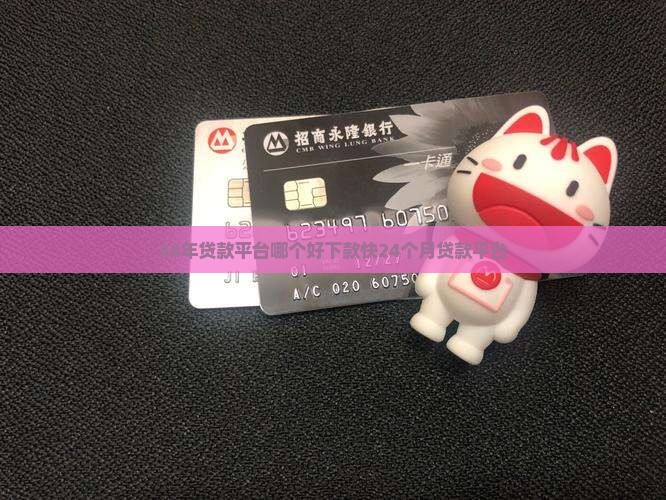24年贷款平台哪个好下款快24个月贷款平台