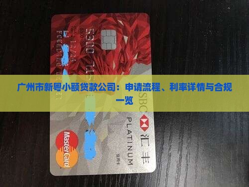 广州市新粤小额贷款公司：申请流程、利率详情与合规一览