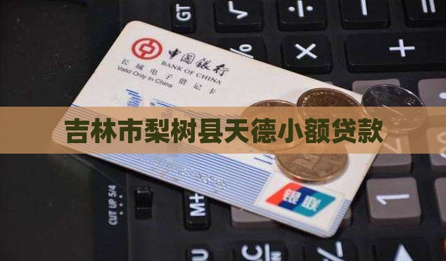 吉林市梨树县天德小额贷款