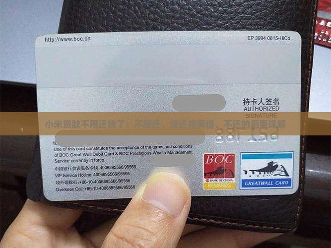小米贷款不用还钱了：不想还、没还完再借、不还的后果详解