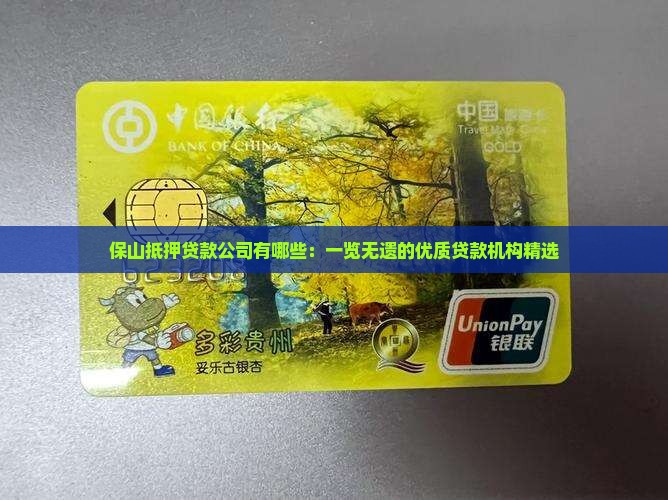 保山抵押贷款公司有哪些：一览无遗的优质贷款机构精选