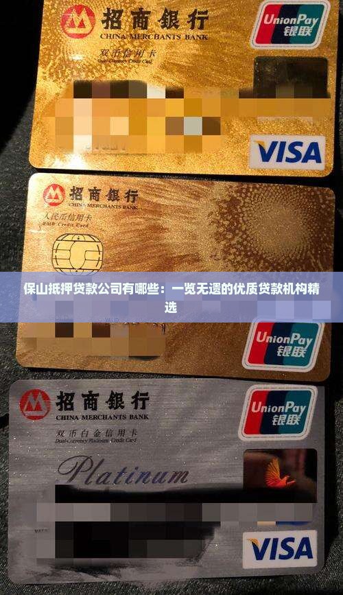 保山抵押贷款公司有哪些：一览无遗的优质贷款机构精选