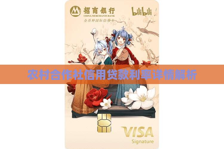 农村合作社信用贷款利率详情解析