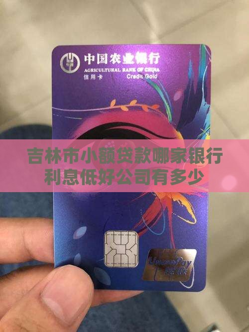 吉林市小额贷款哪家银行利息低好公司有多少