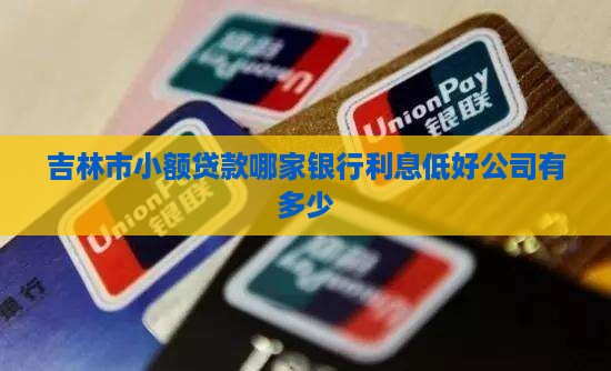 吉林市小额贷款哪家银行利息低好公司有多少