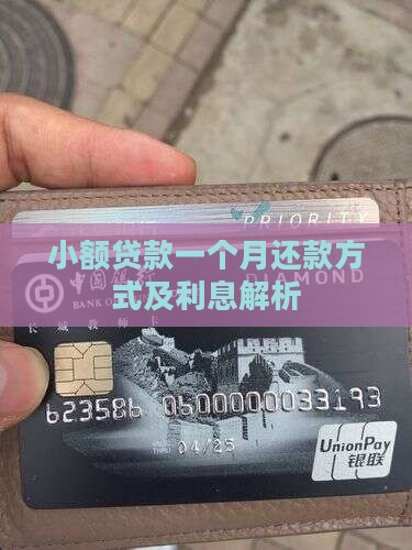 小额贷款一个月还款方式及利息解析