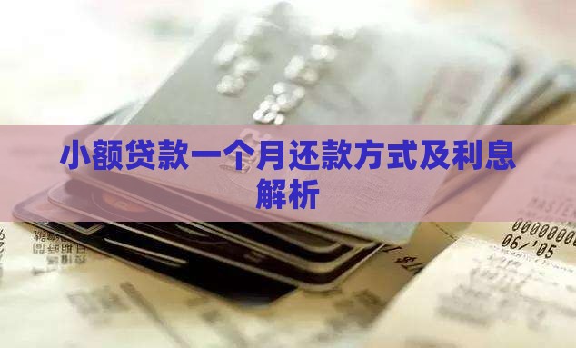 小额贷款一个月还款方式及利息解析