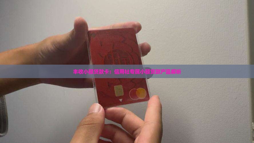丰收小额贷款卡：信用社专属小额贷款产品解析
