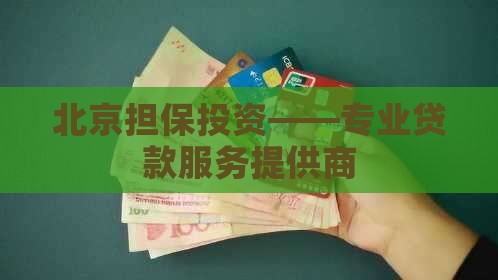 北京担保投资——专业贷款服务提供商