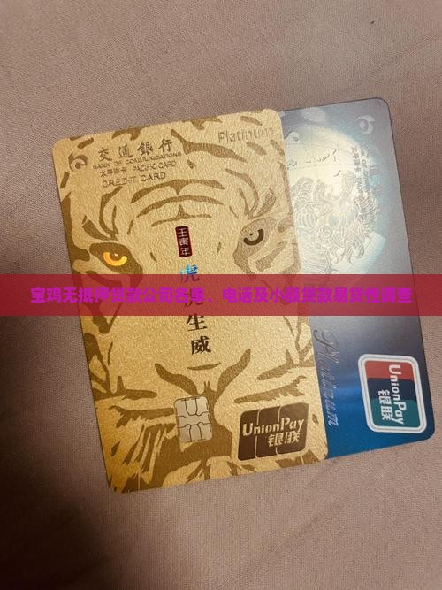 宝鸡无抵押贷款公司名单、电话及小额贷款易贷性调查