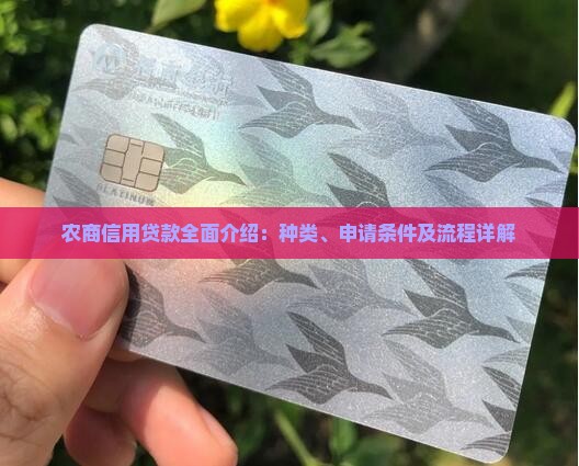 农商信用贷款全面介绍：种类、申请条件及流程详解