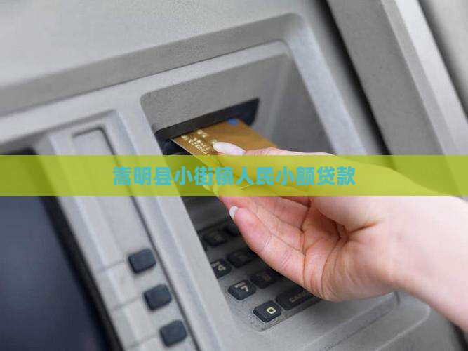 嵩明县小街镇人民小额贷款