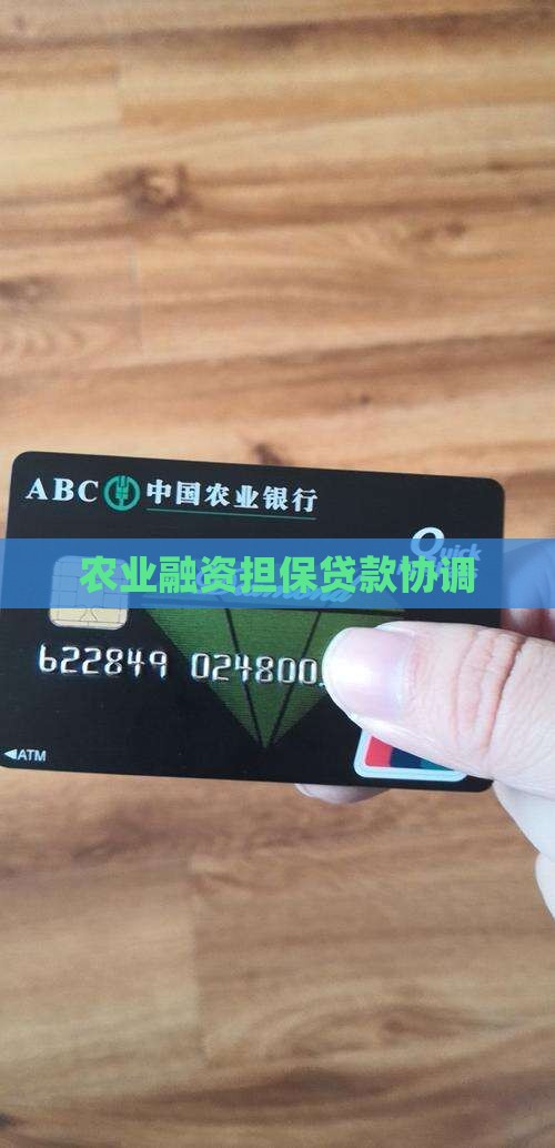 农业融资担保贷款协调