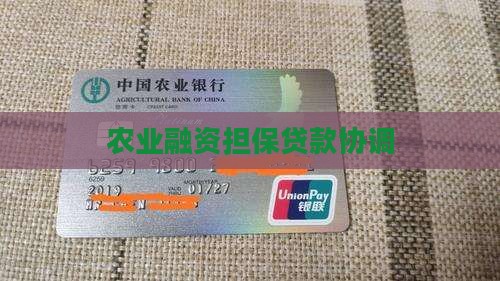 农业融资担保贷款协调