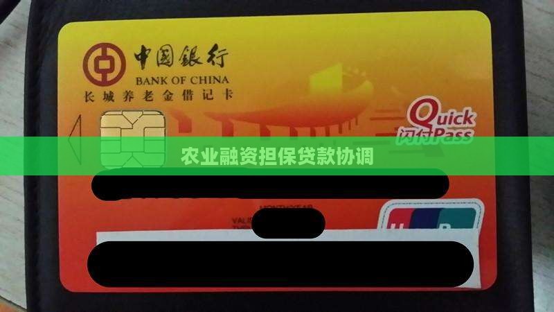 农业融资担保贷款协调