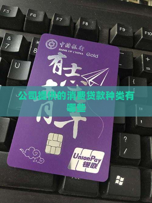 公司提供的消费贷款种类有哪些