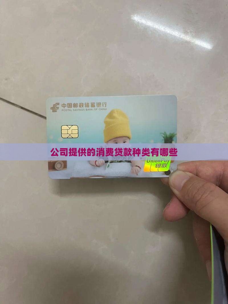 公司提供的消费贷款种类有哪些