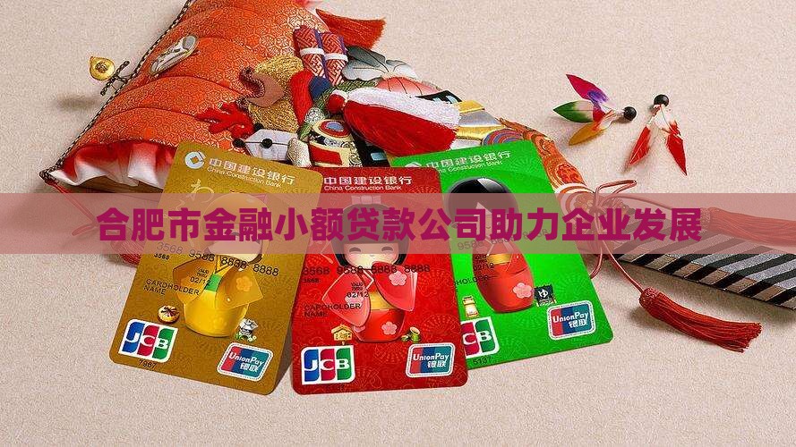 合肥市金融小额贷款公司助力企业发展
