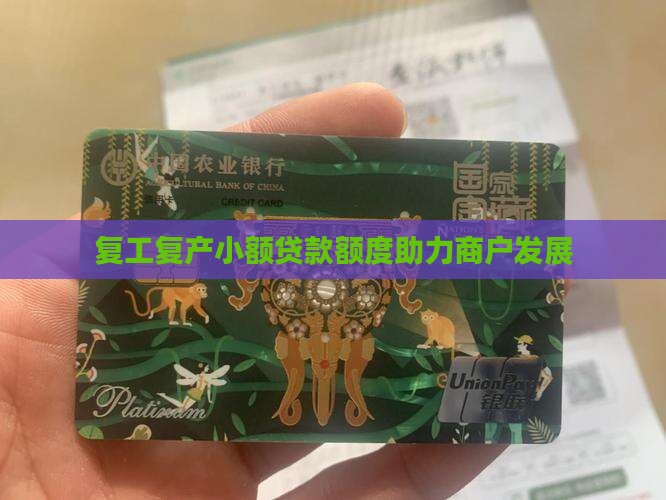 复工复产小额贷款额度助力商户发展