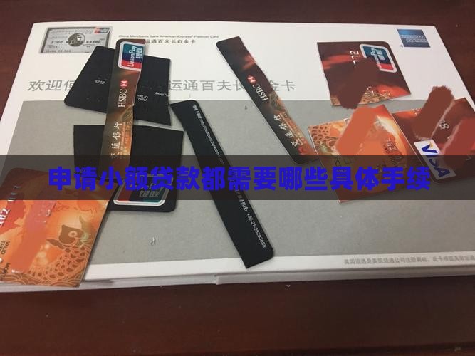 申请小额贷款都需要哪些具体手续