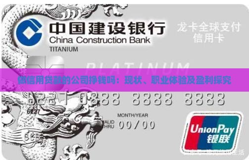 做信用贷款的公司挣钱吗：现状、职业体验及盈利探究