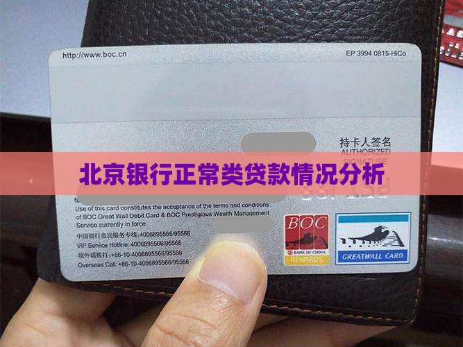 北京银行正常类贷款情况分析