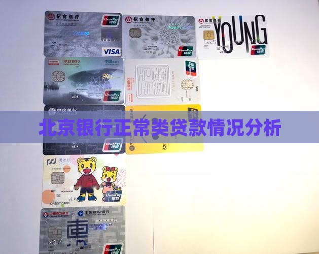 北京银行正常类贷款情况分析