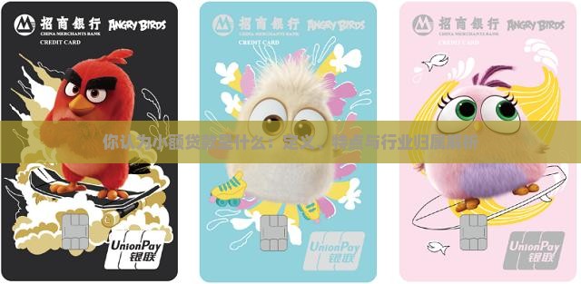 你认为小额贷款是什么：定义、特点与行业归属解析