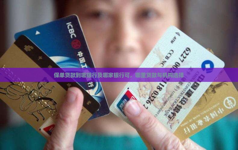 保单贷款到哪银行及哪家银行可，哪里贷款与机构选择
