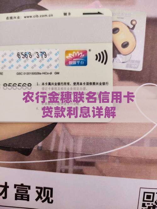 农行金穗联名信用卡贷款利息详解