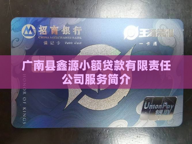 广南县鑫源小额贷款有限责任公司服务简介