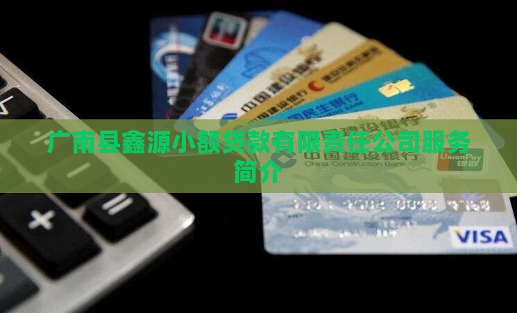 广南县鑫源小额贷款有限责任公司服务简介