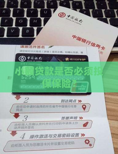 小额贷款是否必须投保保险？
