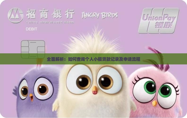 全面解析：如何查询个人小额贷款记录及申请流程