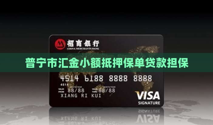 普宁市汇金小额抵押保单贷款担保