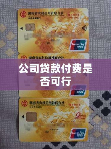 公司贷款付费是否可行
