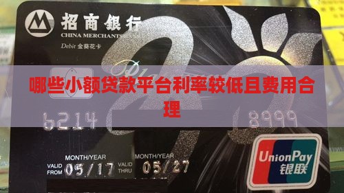 哪些小额贷款平台利率较低且费用合理