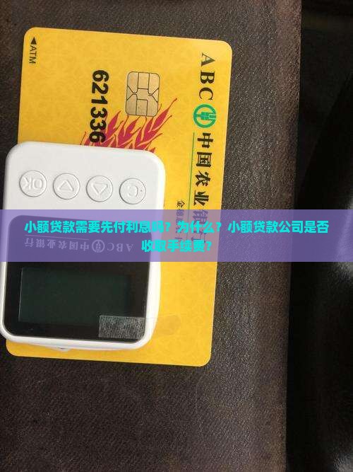 小额贷款需要先付利息吗？为什么？小额贷款公司是否收取手续费？