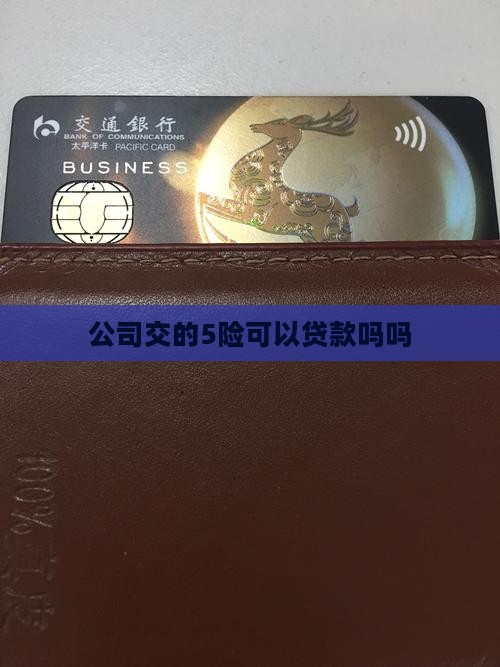 公司交的5险可以贷款吗吗