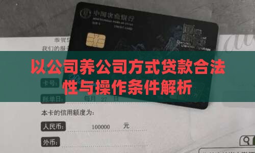 以公司养公司方式贷款合法性与操作条件解析