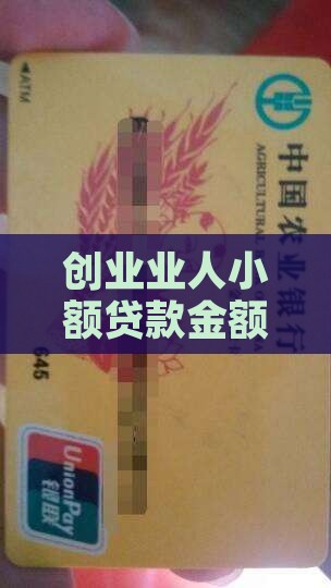 创业业人小额贷款金额与担保政策