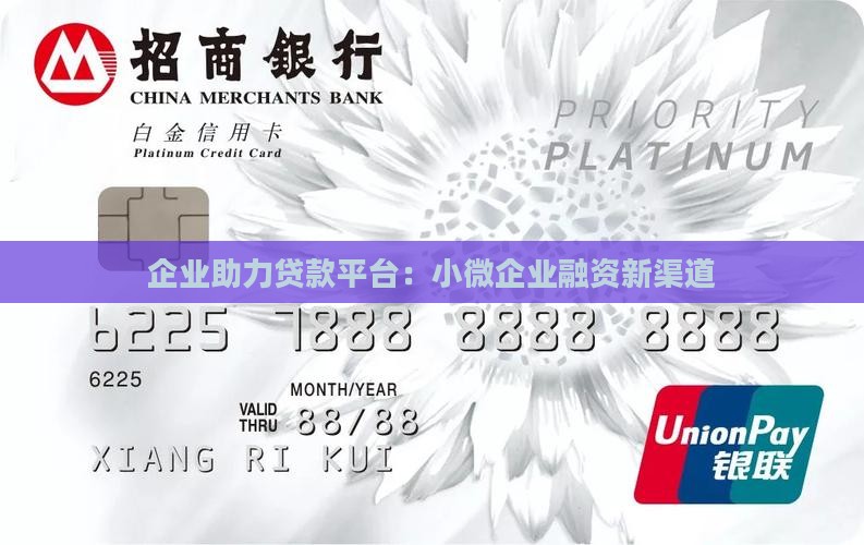 企业助力贷款平台：小微企业融资新渠道