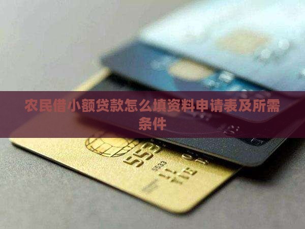 农民借小额贷款怎么填资料申请表及所需条件