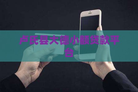 卢氏县大德小额贷款平台
