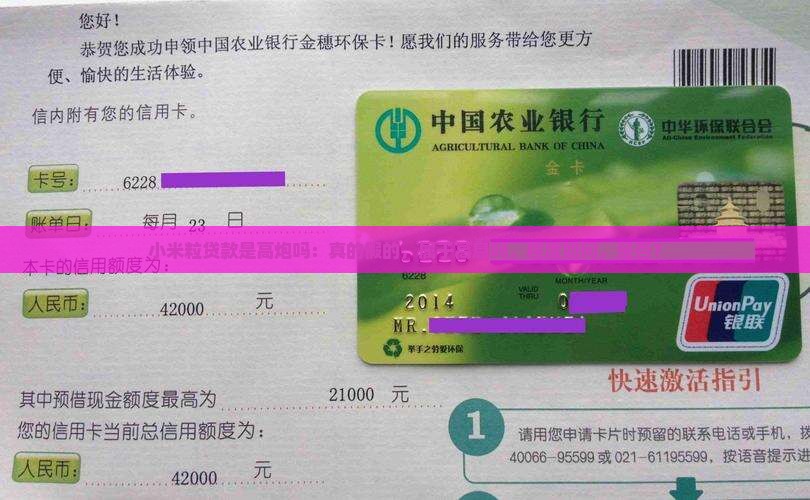 小米粒贷款是高炮吗：真的假的，属于高息吗，程度如何，是否？