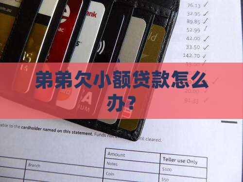 弟弟欠小额贷款怎么办？
