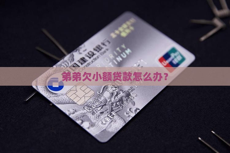 弟弟欠小额贷款怎么办？